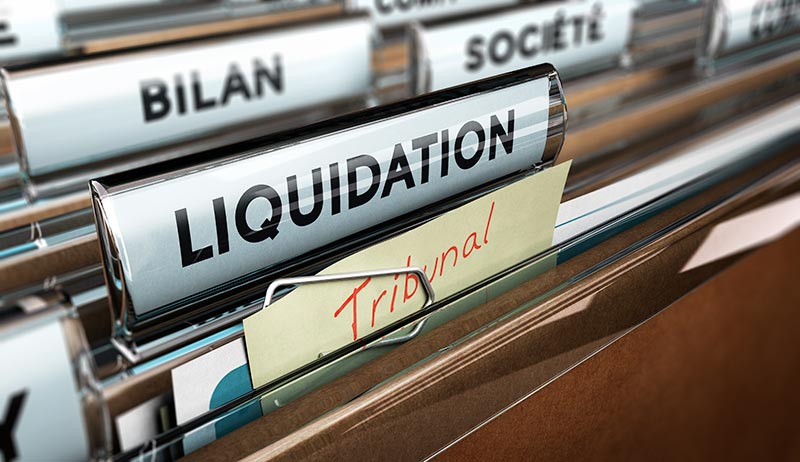 Societe en liquidation a reprendre